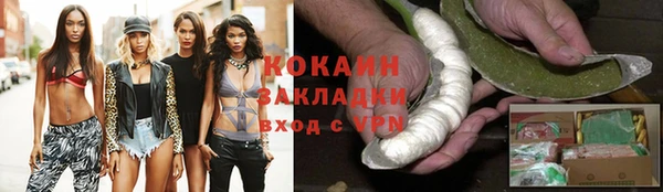 ГАЛЛЮЦИНОГЕННЫЕ ГРИБЫ Краснослободск