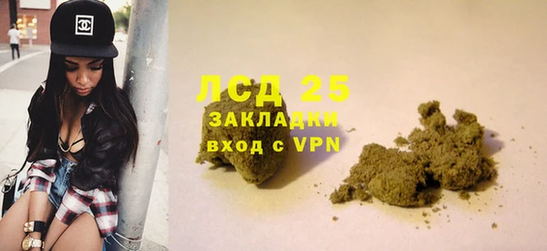 ГАЛЛЮЦИНОГЕННЫЕ ГРИБЫ Краснослободск