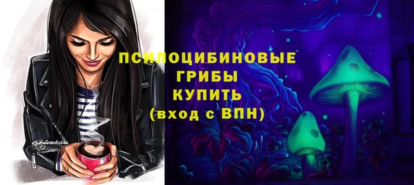 ГАЛЛЮЦИНОГЕННЫЕ ГРИБЫ Краснослободск