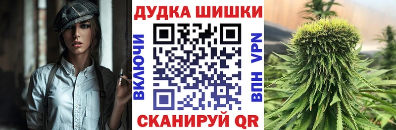 Бошки марихуана сатива  Купить закладки  Курганинск 